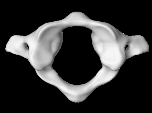 cropped atlas bone favicon