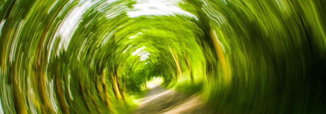 vertigo dizziness